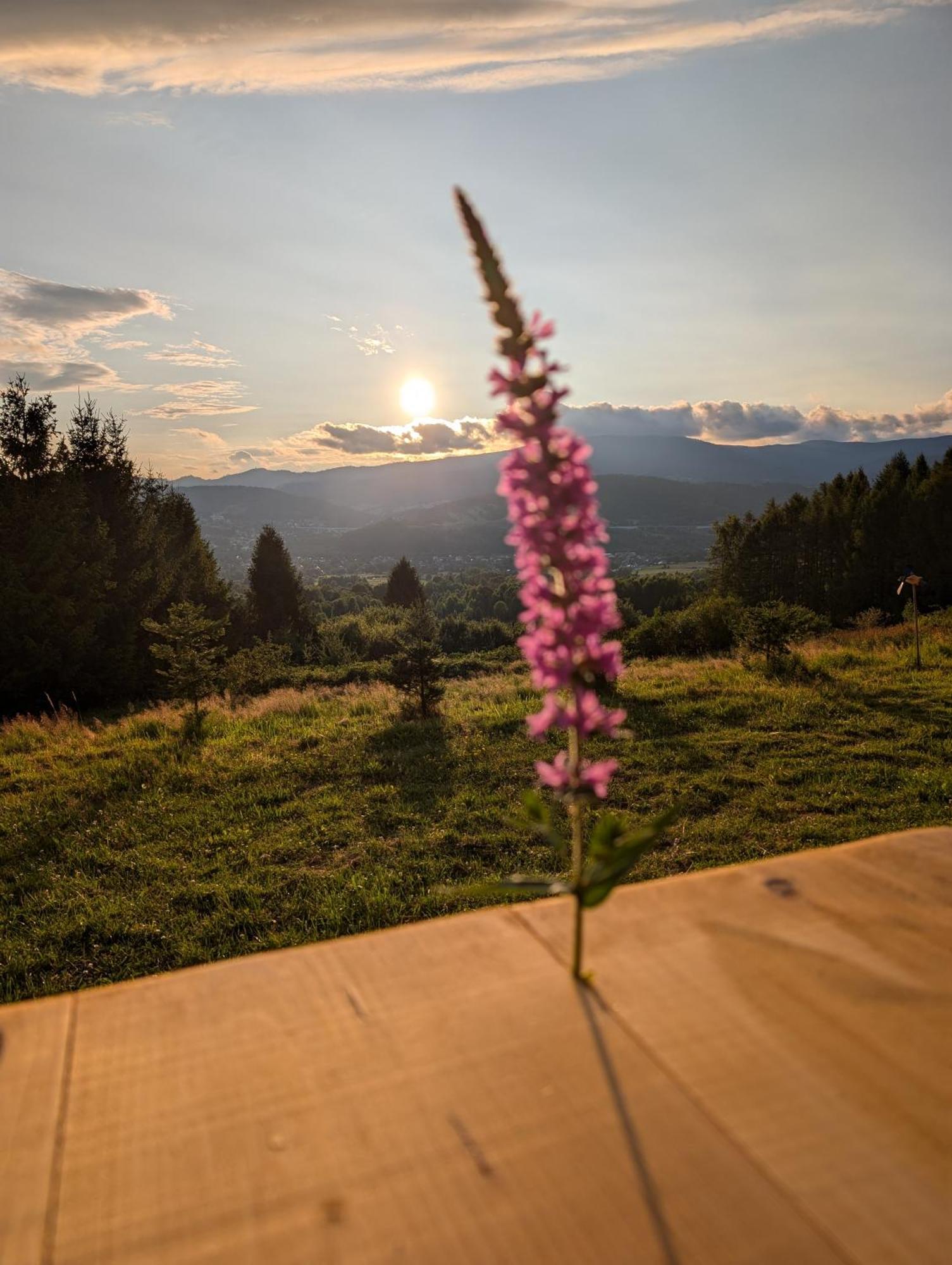 Villa Beskid Milówka Dış mekan fotoğraf